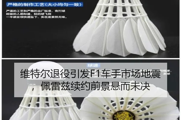 wei-te-er-tui-yi-yin-fa-che-shou-shi-chang-di-zhen-pei-lei-zi-xu-yue-qian-jing-xuan-er-wei-jue-2-843.jpg