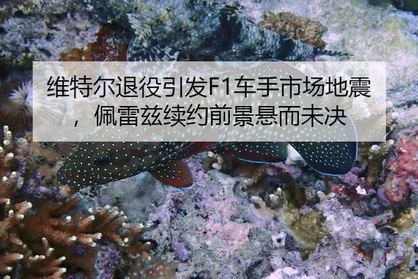 维特尔退役引发F1车手市场地震，佩雷兹续约前景悬而未决