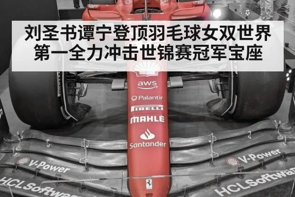 刘圣书谭宁登顶羽毛球女双世界第一全力冲击世锦赛冠军宝座